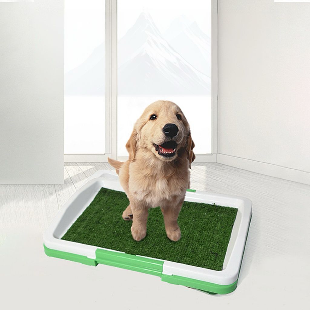 Baño para mascotas